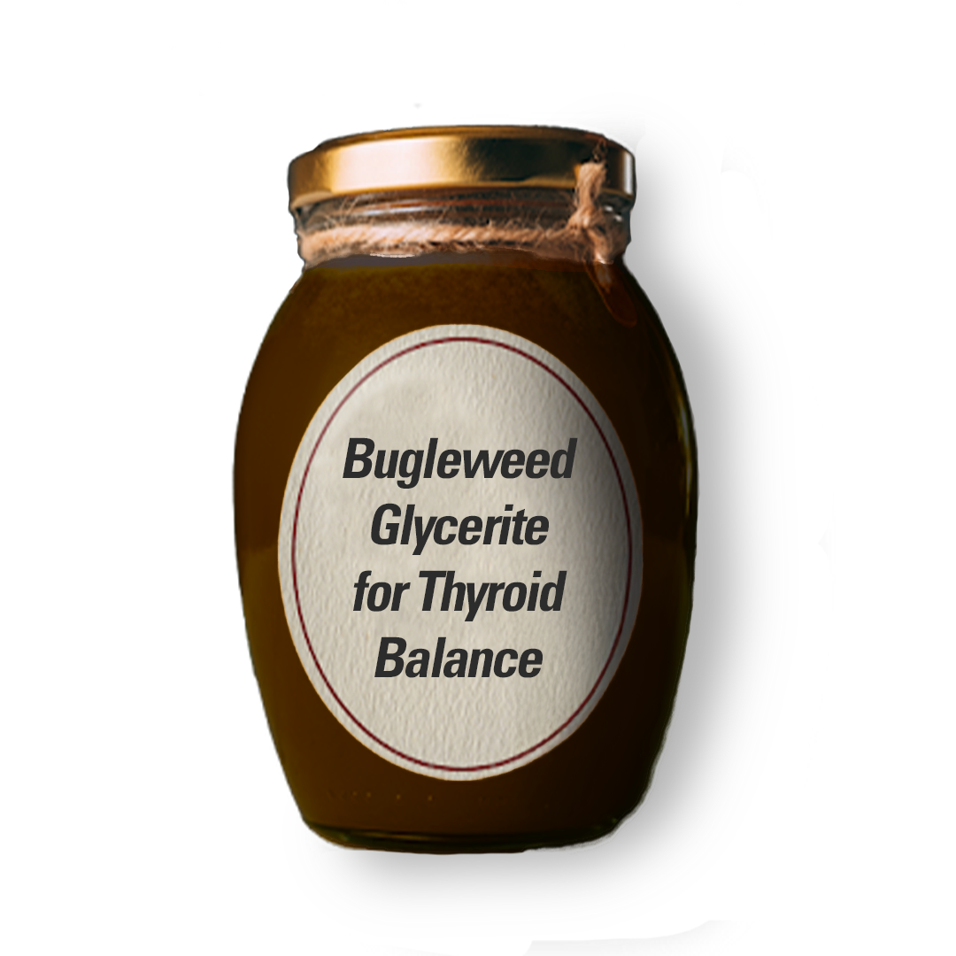 Bugleweed Glycerite for Thyroid Balance