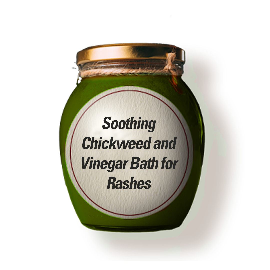 Soothing Chickweed and Vinegar Bath for Rashes