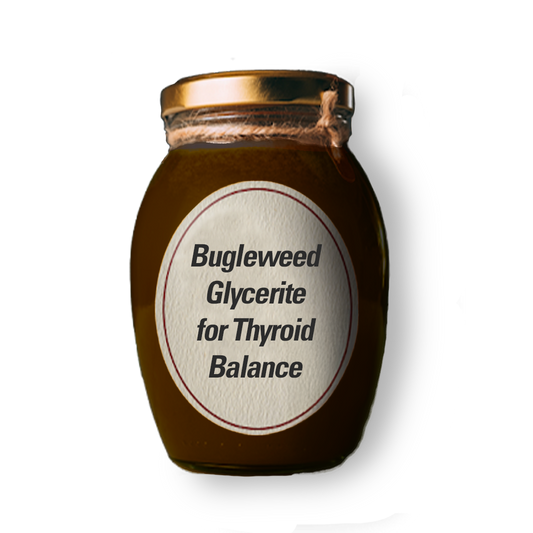 Bugleweed Glycerite for Thyroid Balance