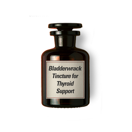 Bladderwrack Tincture for Thyroid Support