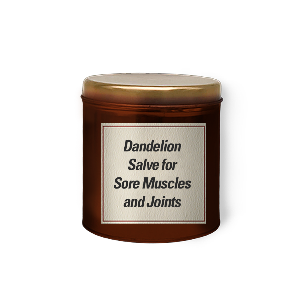 Dandelion Salve for Sore Muscles and Joints