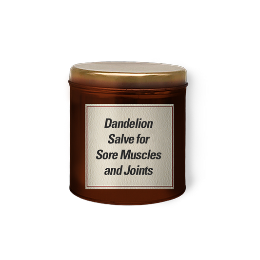 Dandelion Salve for Sore Muscles and Joints