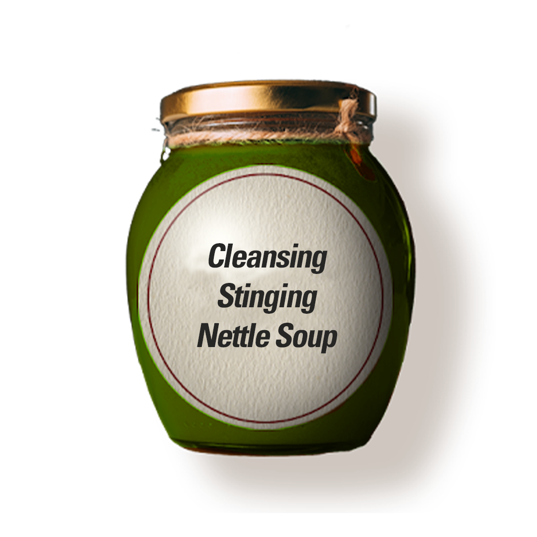 Cleansing Stinging Nettle Soup