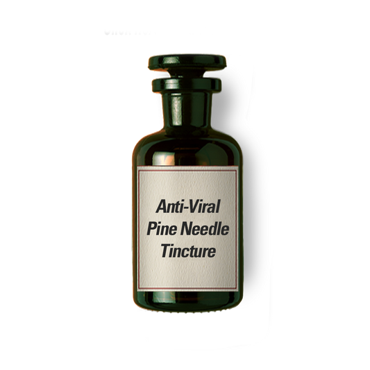 Anti-Viral Pine Needle Tincture
