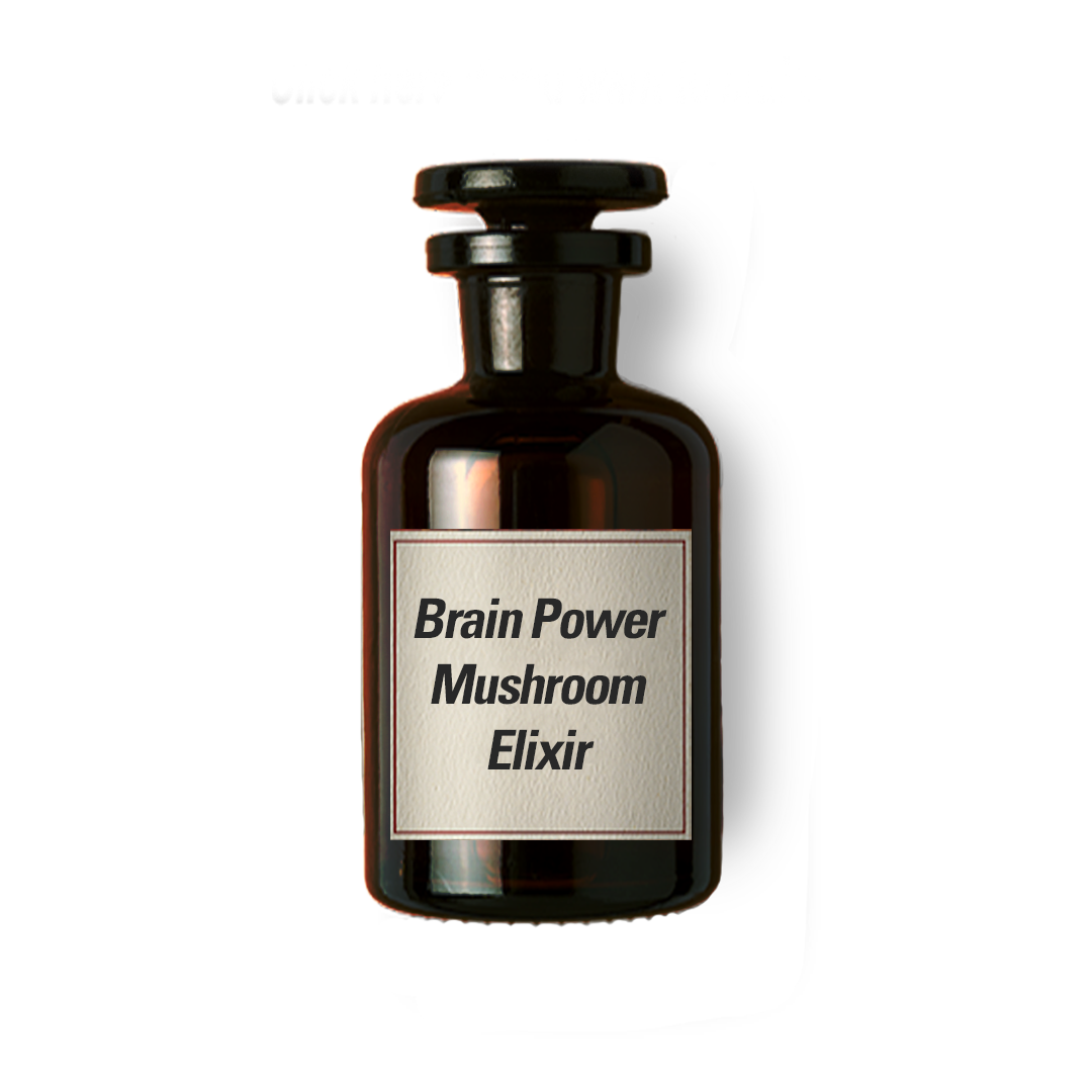 Brain Power Mushroom Elixir