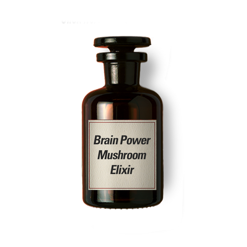 Brain Power Mushroom Elixir